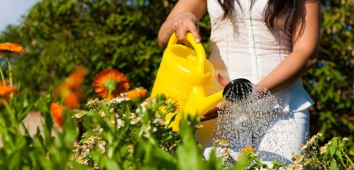 A importância da preservação do meio ambiente