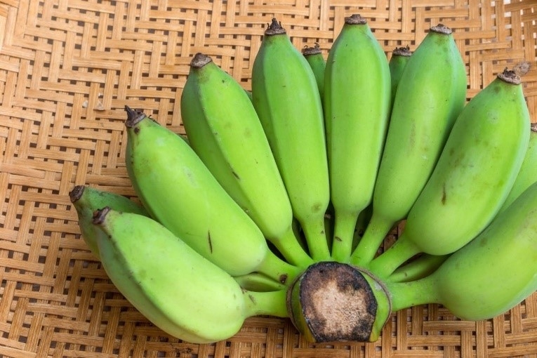 Farinha de banana verde emagrece e regula o intestino