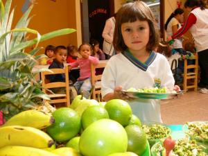 Alimentação Escolar